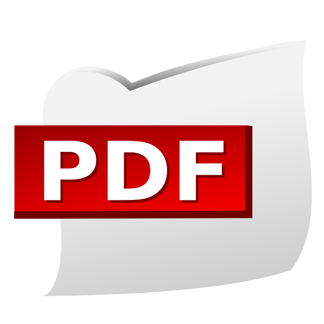 PDF Logo
