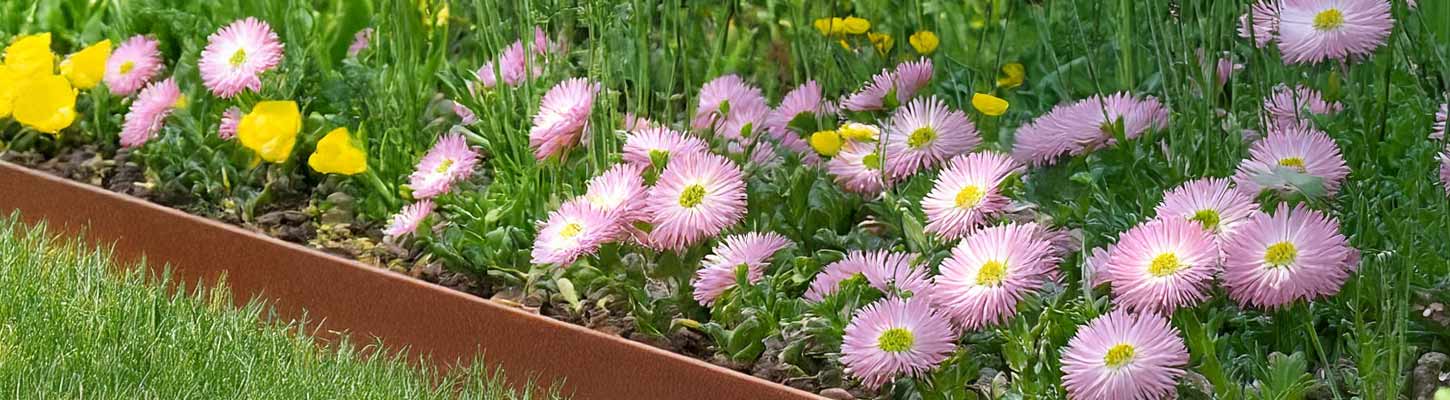 Beeteinfassung aus Cortenstahl mit natürlicher Patina