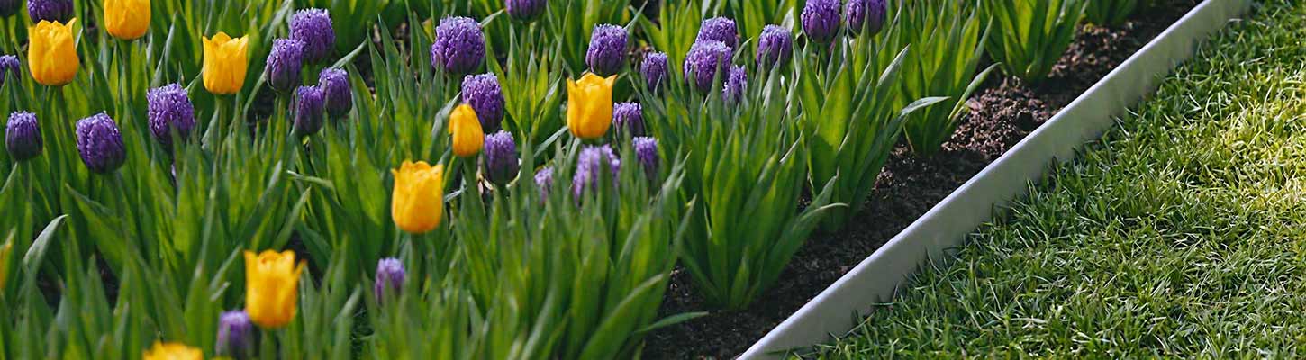 Hochwertige Rasenkanten für professionelle Gartengestaltung - rasenkante24.ch